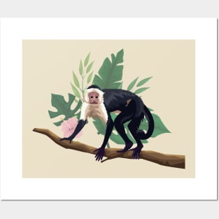 capuchin monkey tree branch Posters and Art